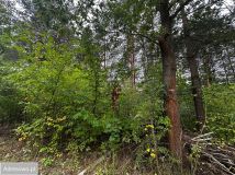 Działka budowlana Skierniewice, ul. Kątna. Zdjęcie 2