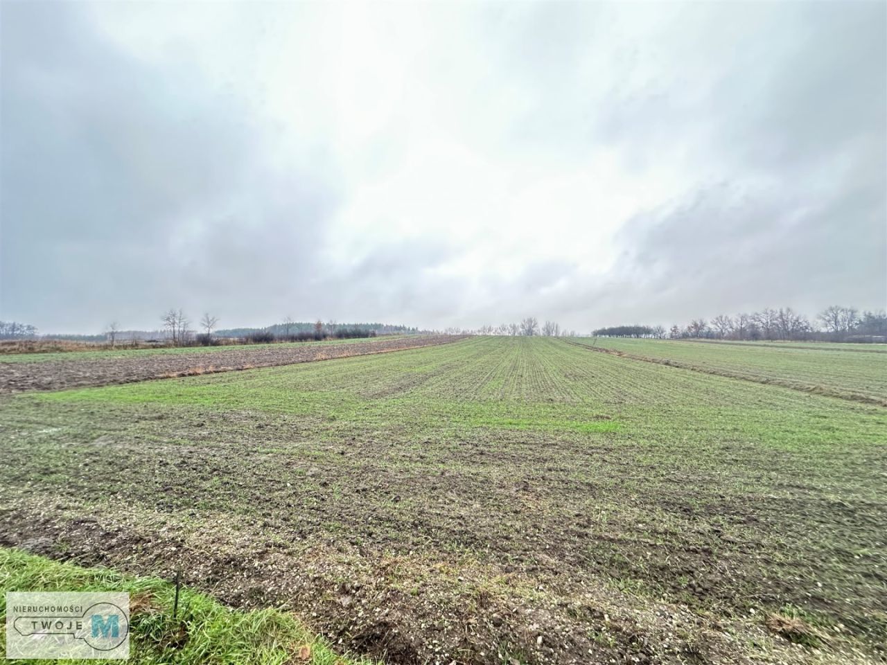 Działka Gnojno. Zdjęcie 4