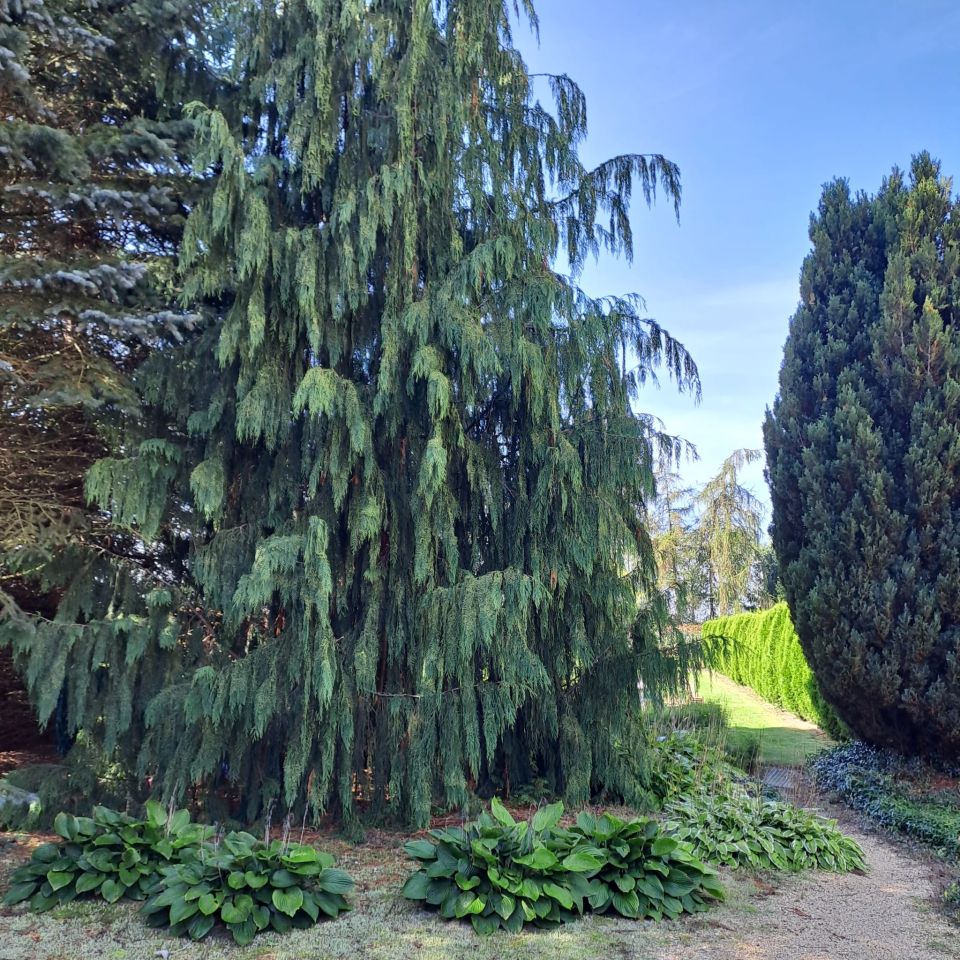 dom wolnostojący, 4 pokoje Mała Wieś Dolna. Zdjęcie 8