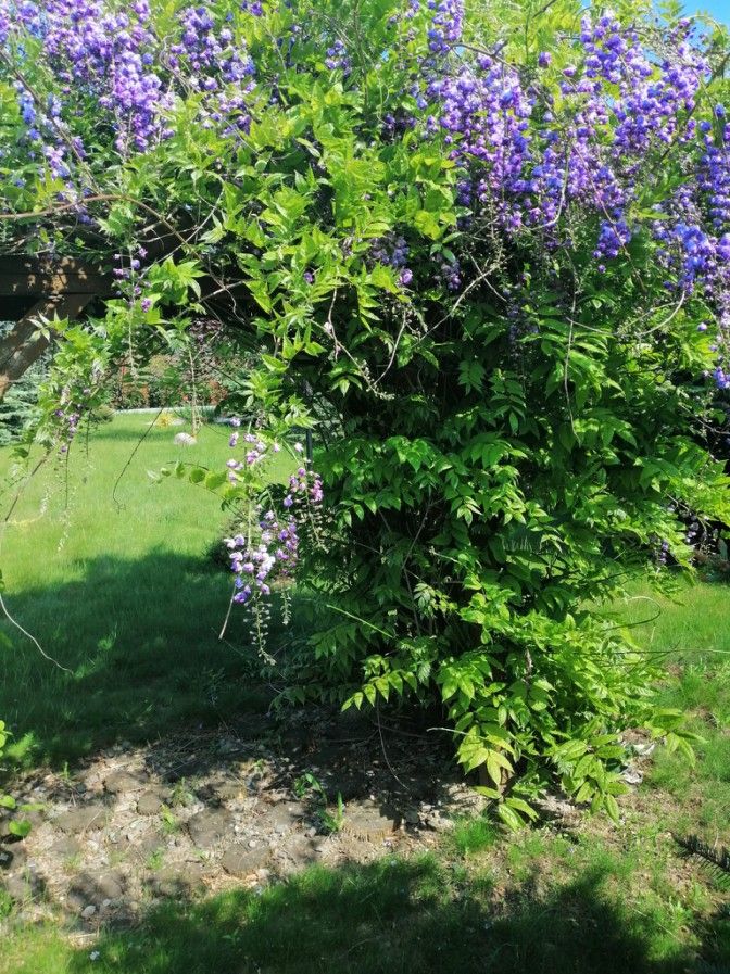 dom wolnostojący, 6 pokoi Rudka Kozłowiecka. Zdjęcie 8