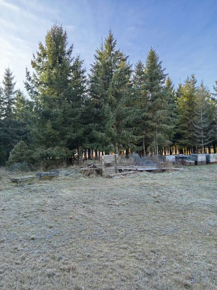 dom wolnostojący, 4 pokoje Dolno. Zdjęcie 20