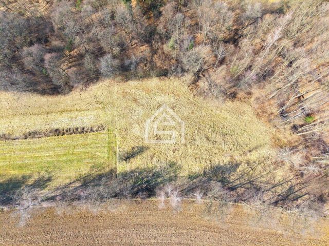 Działka inwestycyjna Trzciana. Zdjęcie 4