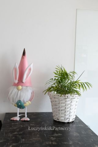 dom wolnostojący, 5 pokoi Lubawka. Zdjęcie 9