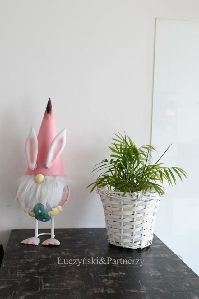 dom wolnostojący, 5 pokoi Lubawka. Zdjęcie 9