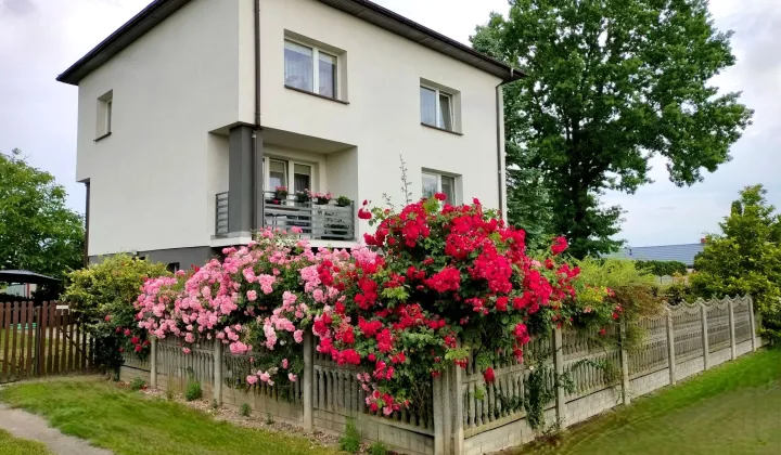 gospodarstwo, 12 pokoi Łyszkowice