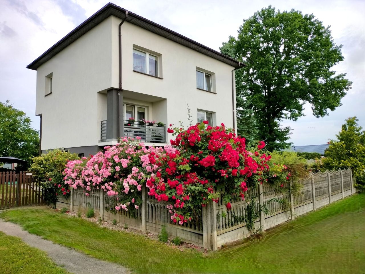 gospodarstwo, 12 pokoi Łyszkowice. Zdjęcie 1