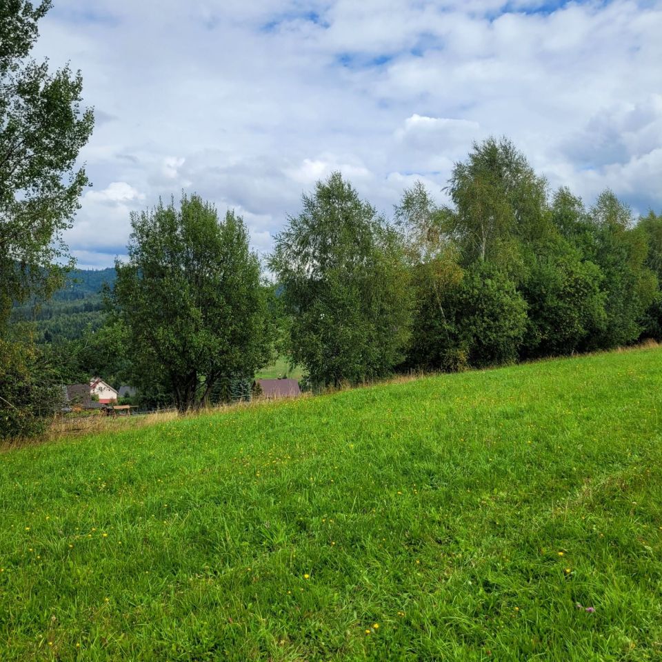 Działka rolno-budowlana Istebna. Zdjęcie 5