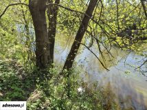 Działka siedliskowa Bądkowo-Rochny. Zdjęcie 2