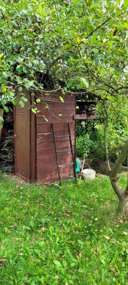 Działka rod Brodła. Zdjęcie 6