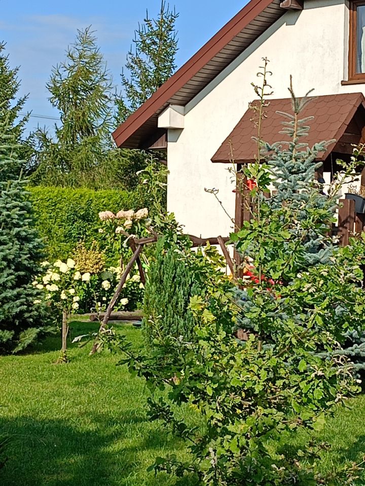 dom wolnostojący, 3 pokoje Wiktorowo. Zdjęcie 18