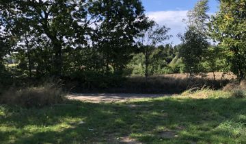 Działka siedliskowa Nowy Wiec, Brak