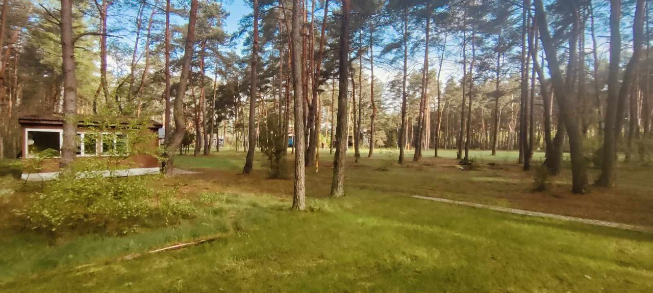 Działka rekreacyjna Biała Góra. Zdjęcie 16