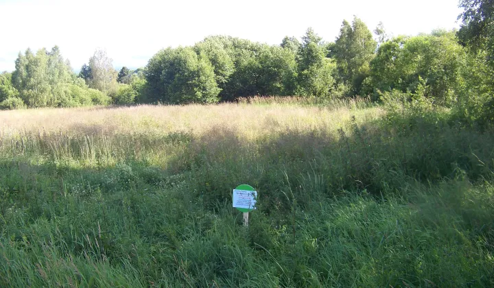 Działka rolna Kowalewko