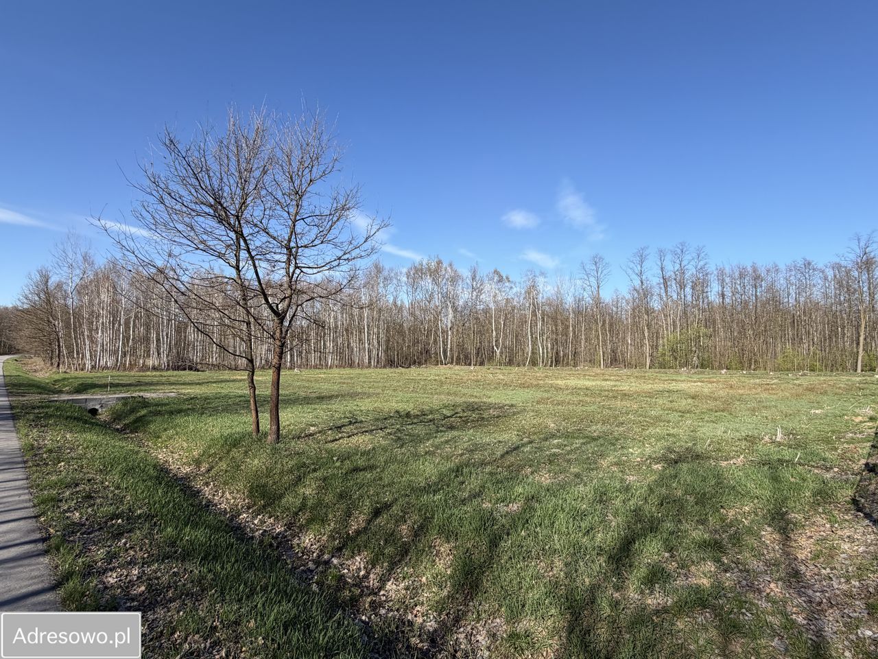 Działka budowlana Trzciana. Zdjęcie 9