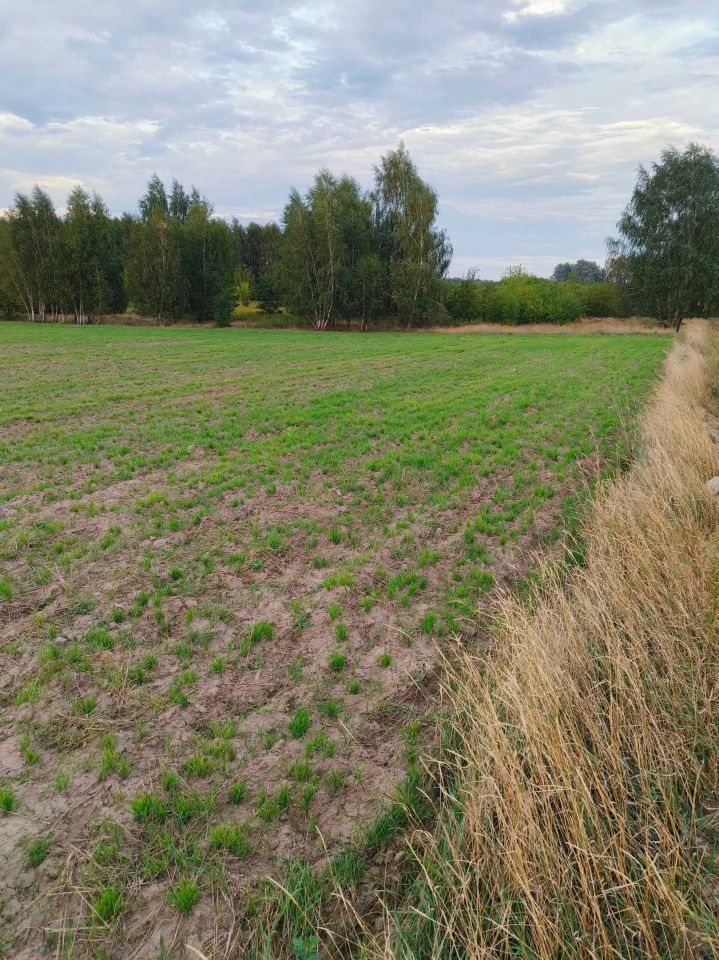 Działka budowlana Strachowo. Zdjęcie 2