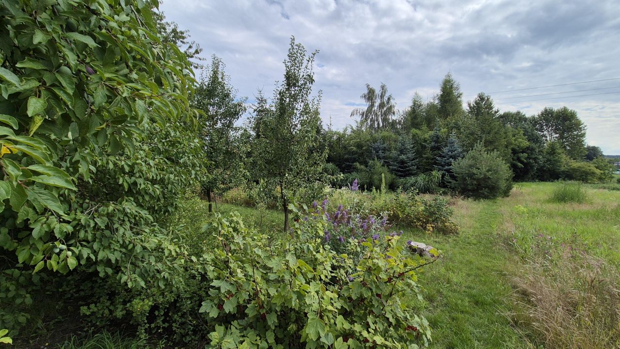 Działka siedliskowa Strzyżów, ul. Podgórna. Zdjęcie 19