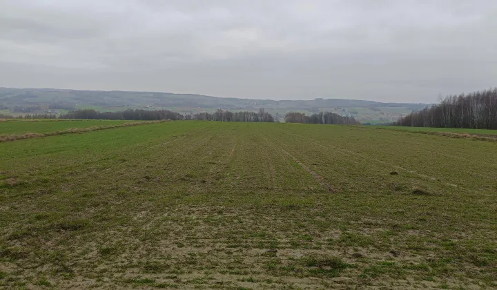 Działka budowlana Glinik Jamszcze