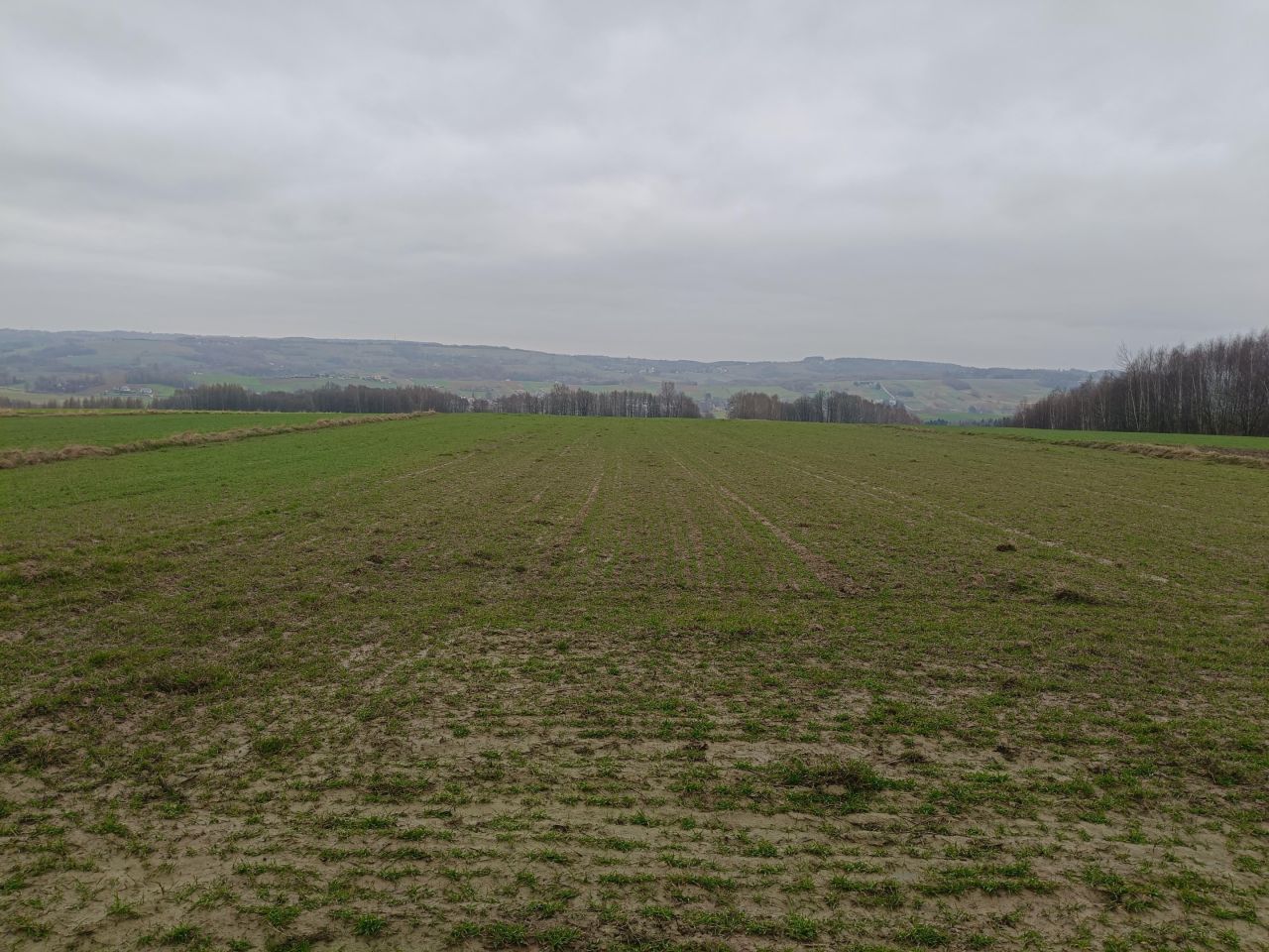 Działka budowlana Glinik Jamszcze. Zdjęcie 8