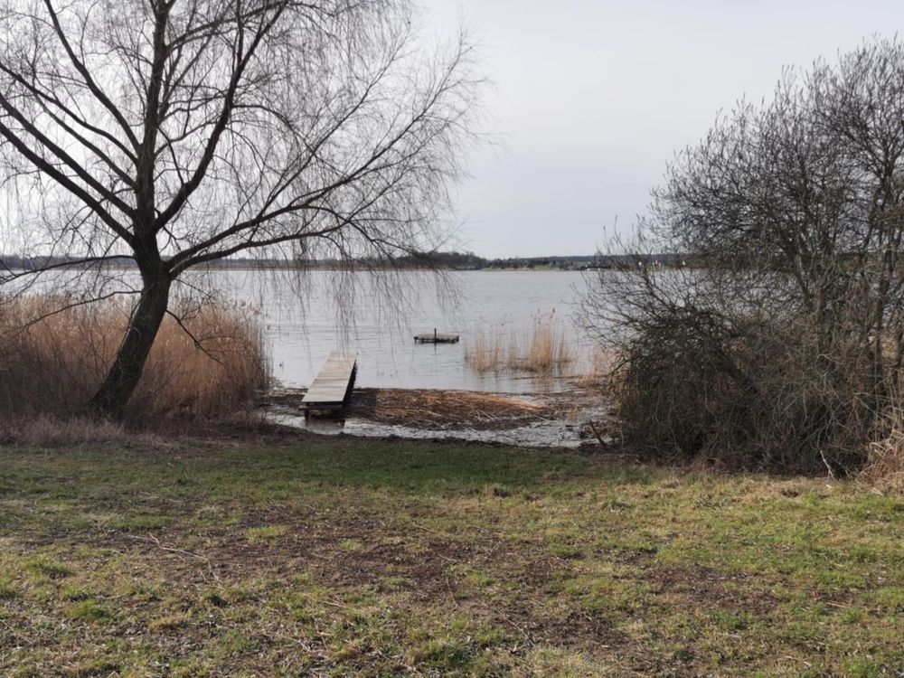 Działka rolno-budowlana Połajewo. Zdjęcie 4