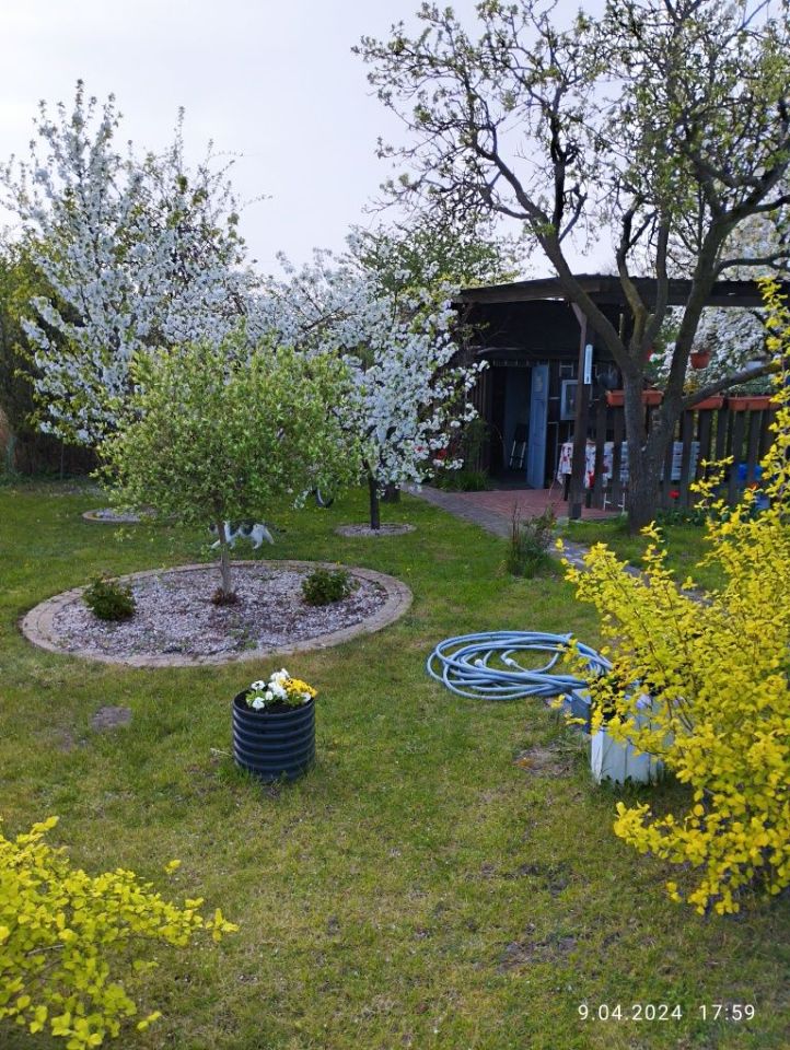 Działka rod Kluczbork, ul. Norwida. Zdjęcie 3