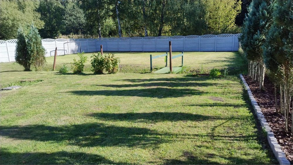 Działka rod Będzin Łagisza. Zdjęcie 7