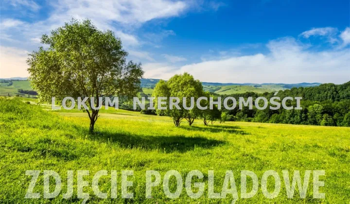 Działka inwestycyjna Cieszyn Boguszowice, ul. Frysztacka