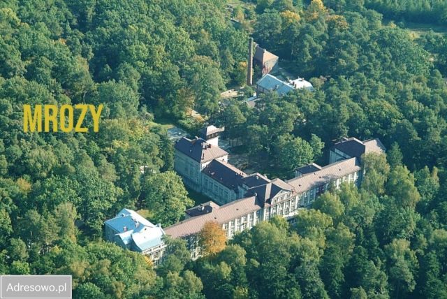 Działka budowlana Jeruzal, ul. Szkolna. Zdjęcie 9