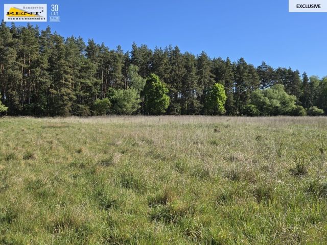 Działka rolna Szczecin. Zdjęcie 9