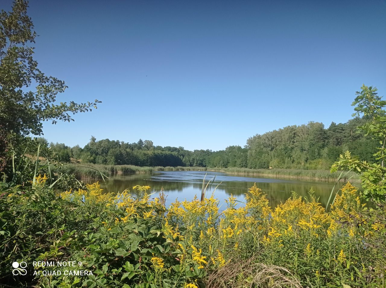 Działka rekreacyjna Ptakowice, ul. Wyzwolenia. Zdjęcie 16