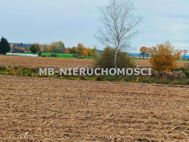 Działka rolna Mingajny. Zdjęcie 3