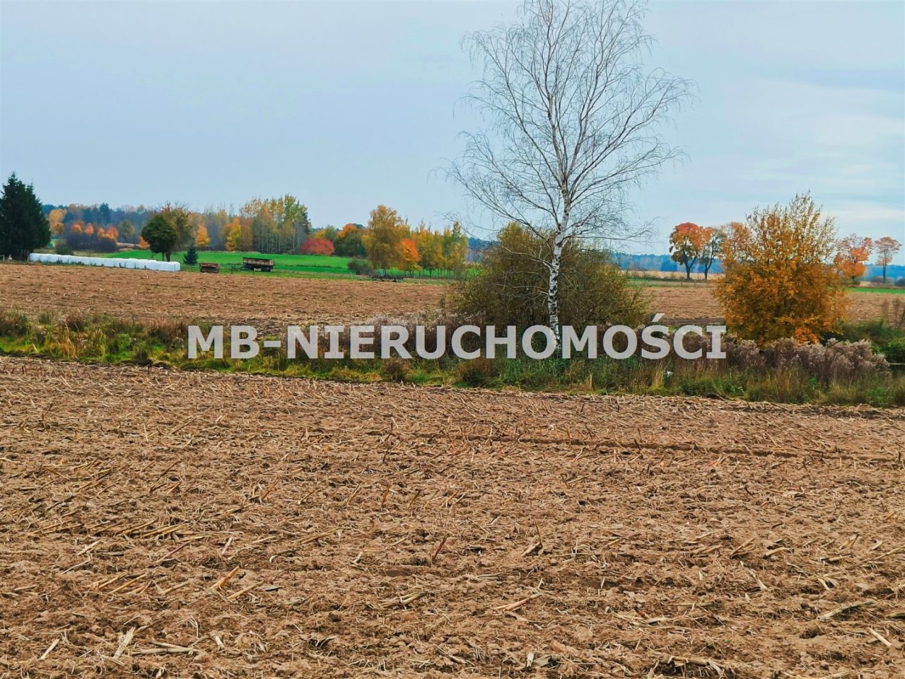 Działka rolna Mingajny. Zdjęcie 3