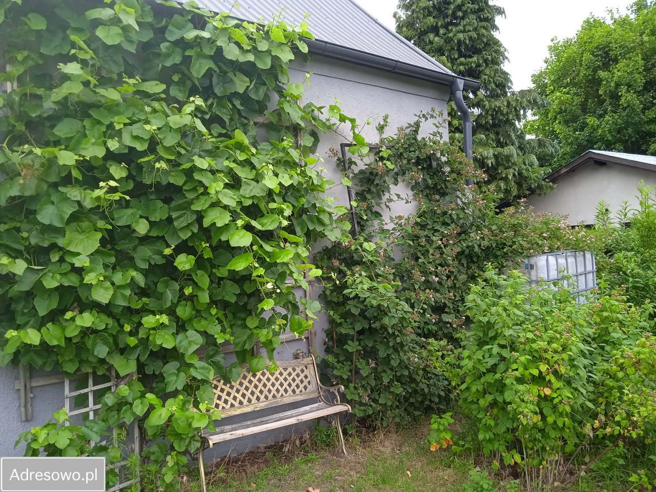 dom wolnostojący, 6 pokoi Złotów. Zdjęcie 4