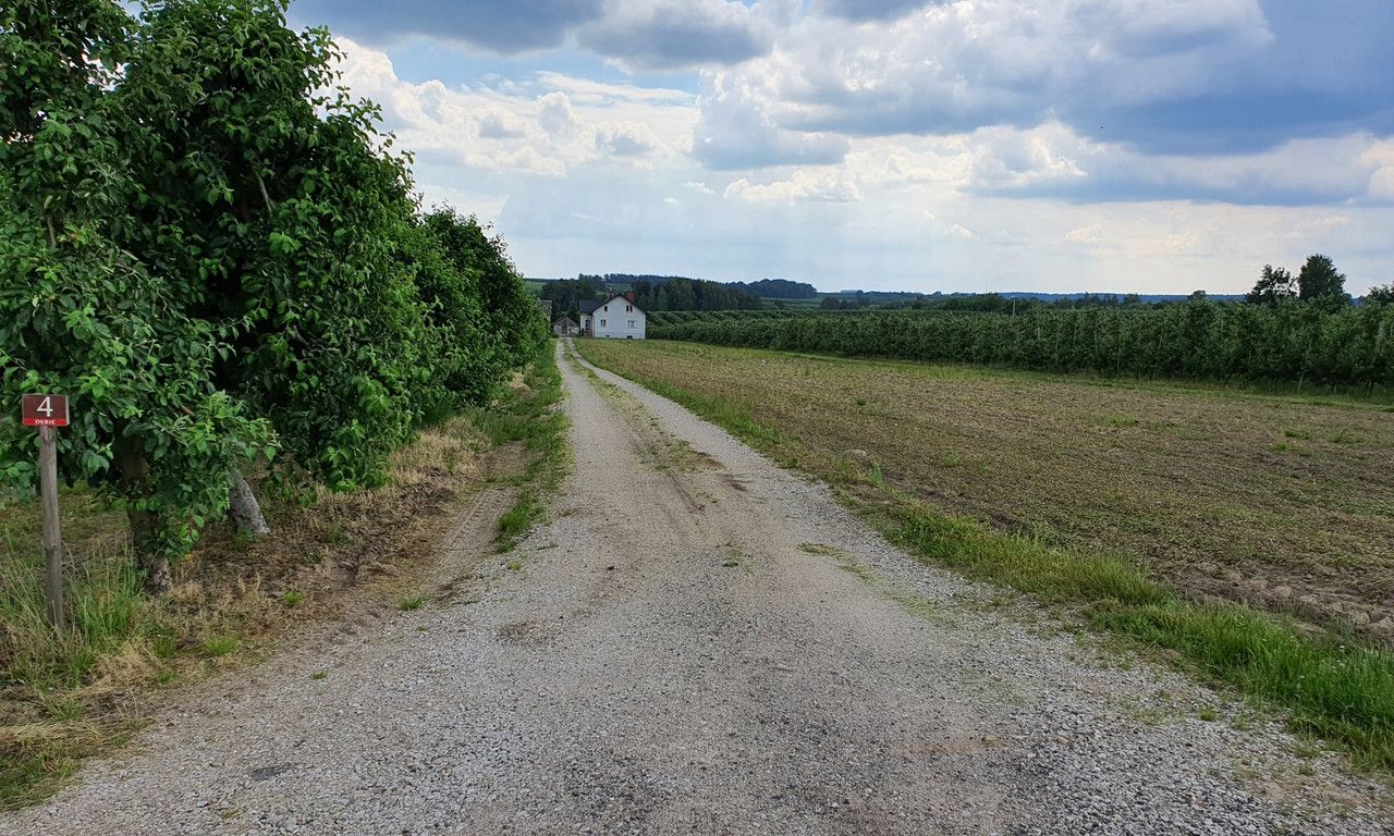 siedlisko Dębie. Zdjęcie 7