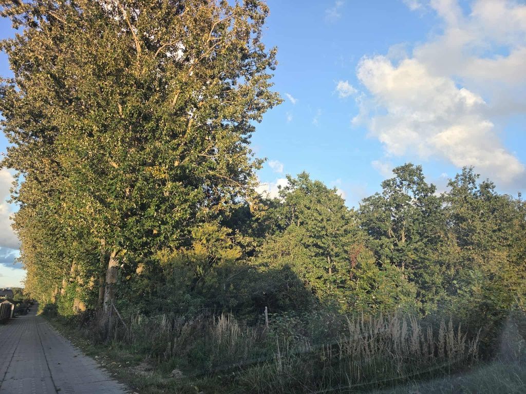 Działka budowlana Gdańsk Bysewo. Zdjęcie 4