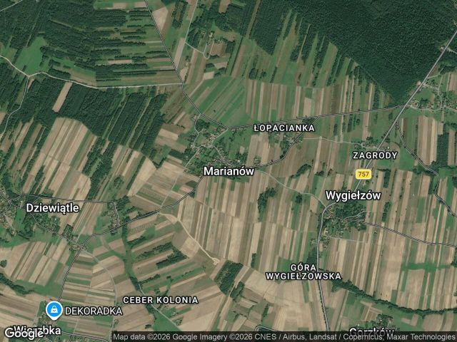 Działka leśna Marianów. Zdjęcie 1