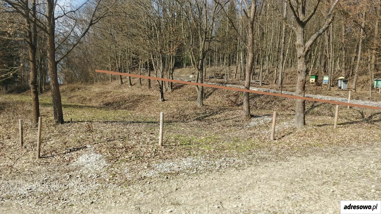 Działka inna Turze Pole Grabiec. Zdjęcie 4
