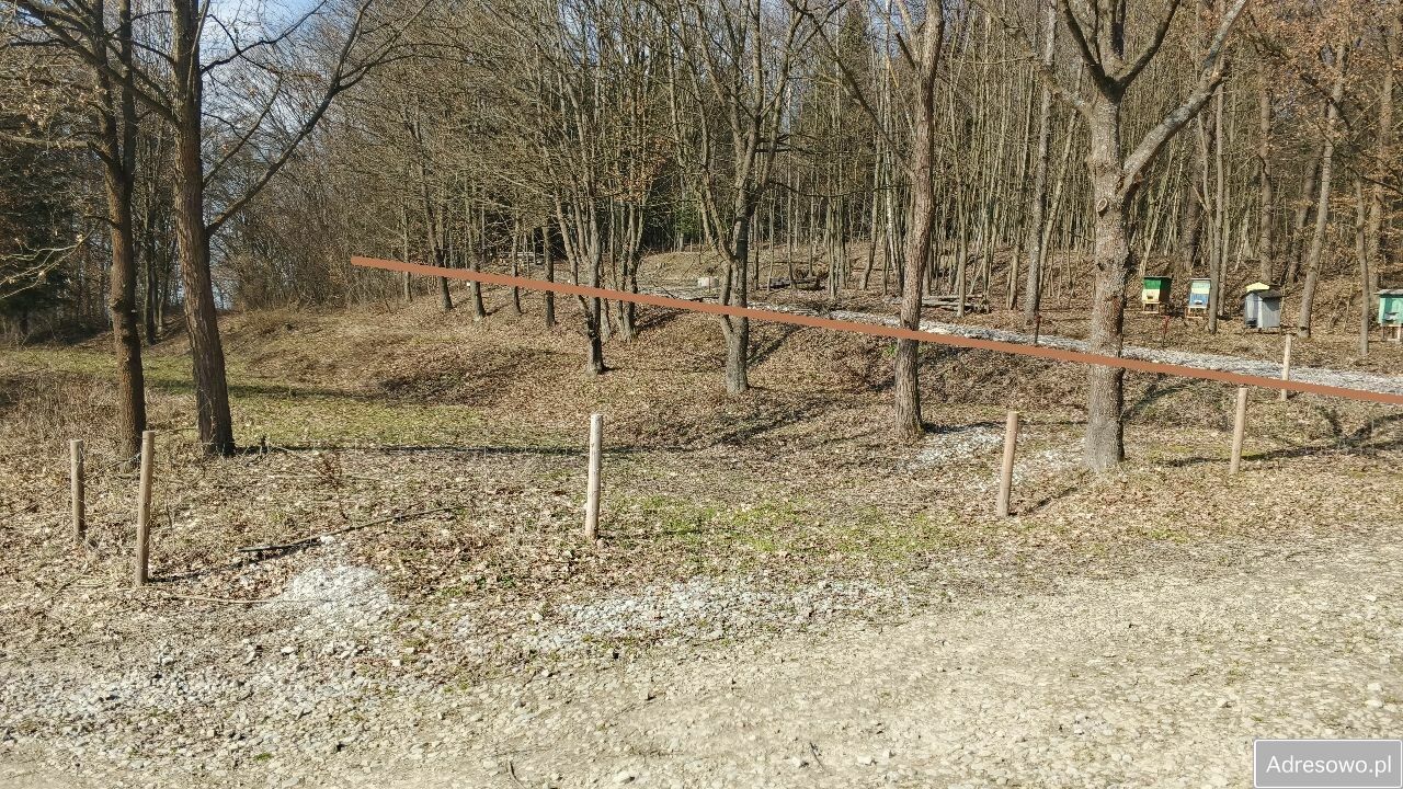 Działka rekreacyjna Turze Pole. Zdjęcie 4