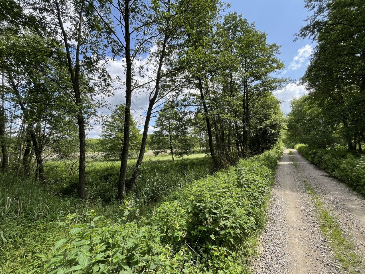 Działka rolna Siennica Nadolna. Zdjęcie 9