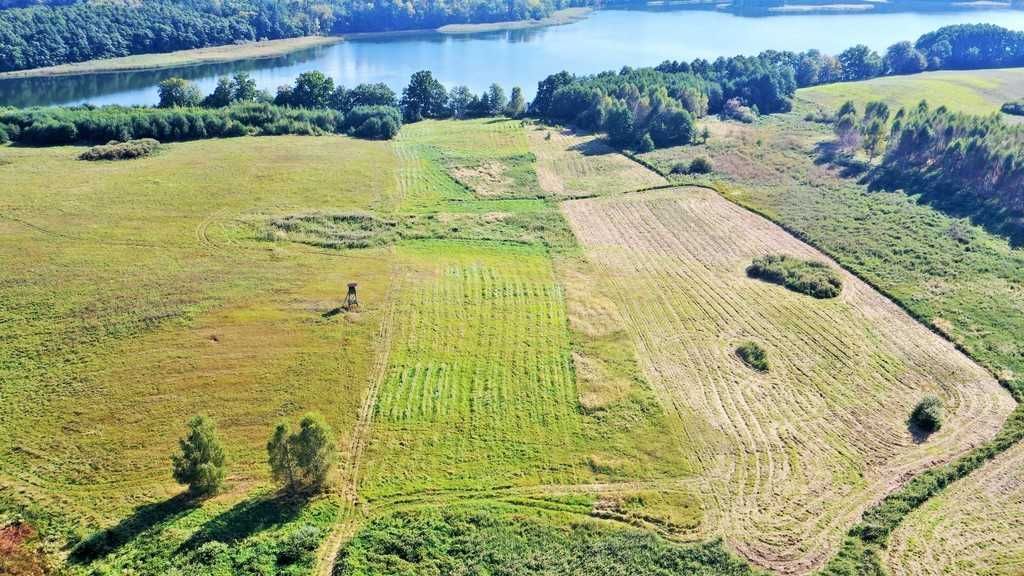 Działka rolna Żelisławie. Zdjęcie 2