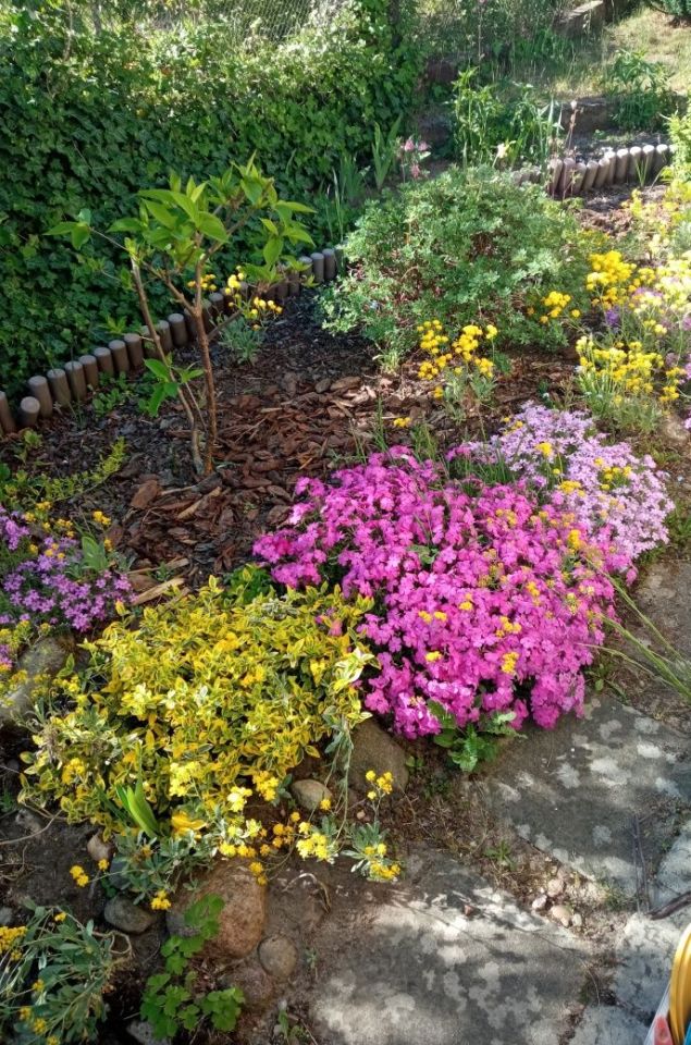 Działka rod Zielona Góra Jędrzychów. Zdjęcie 4