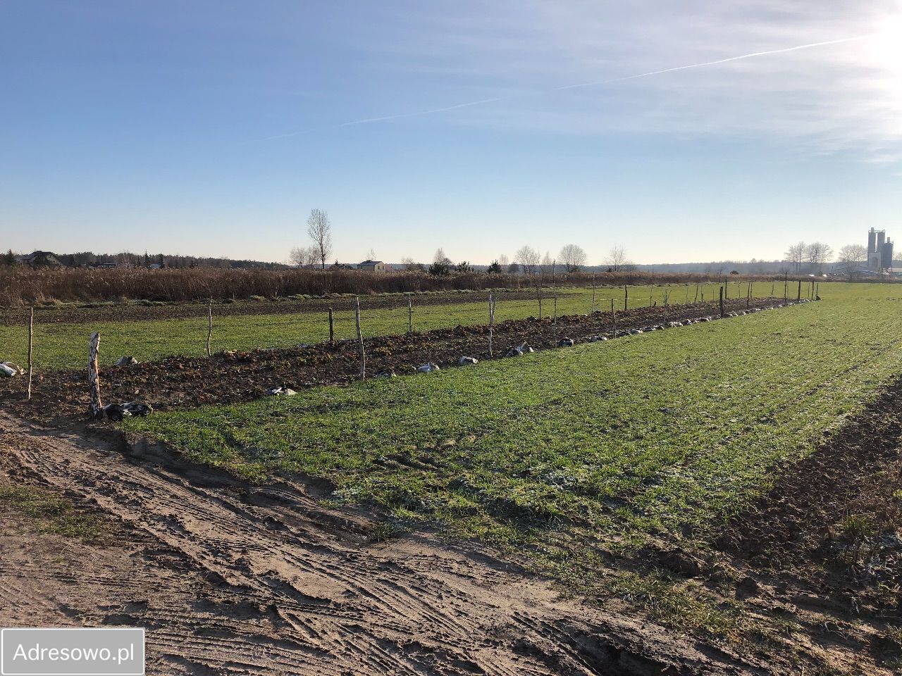 Działka inwestycyjna Łuków. Zdjęcie 6