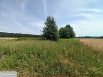 Działka rolna Pęgów. Zdjęcie 3