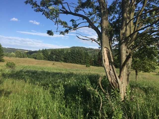 Działka rolna Sierpnica. Zdjęcie 1