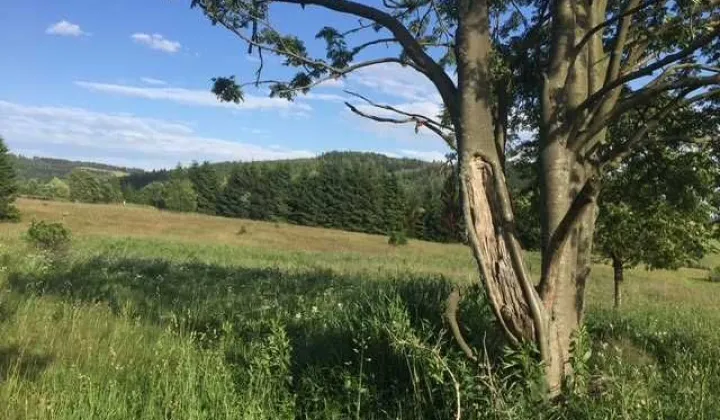 Działka rolna Sierpnica