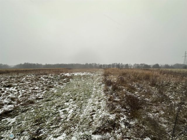 Działka rolna Śladków Duży. Zdjęcie 16