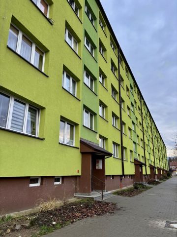 Mieszkanie 2-pokojowe Stronie Śląskie. Zdjęcie 1