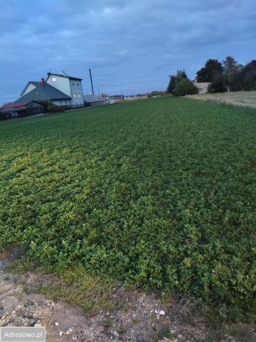 Działka inwestycyjna Pułtusk. Zdjęcie 1