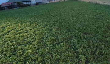 Działka inwestycyjna Pułtusk