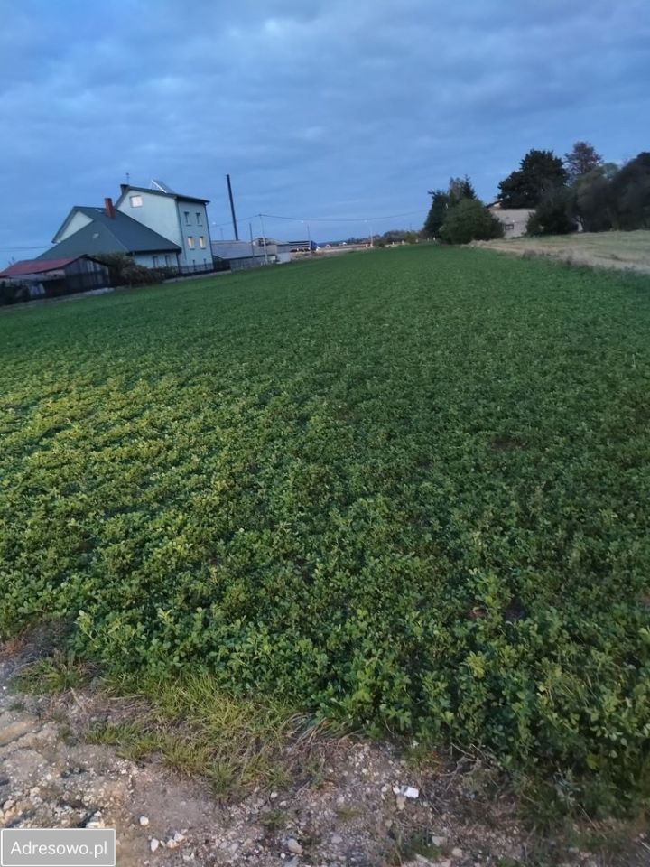 Działka inwestycyjna Pułtusk