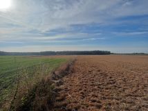 Działka rolna Zalesie. Zdjęcie 1